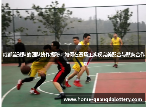成都篮球队的团队协作揭秘：如何在赛场上实现完美配合与默契合作