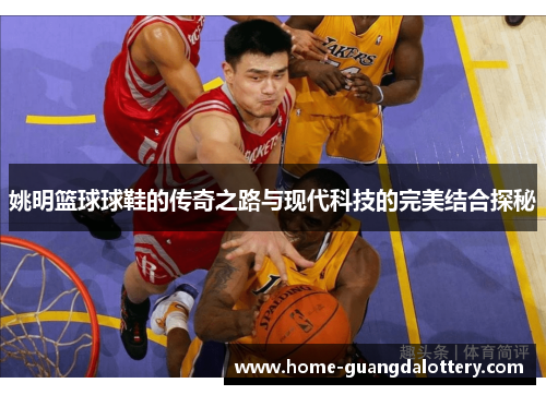 姚明篮球球鞋的传奇之路与现代科技的完美结合探秘