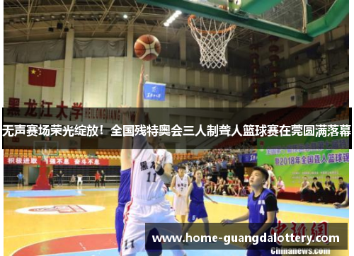无声赛场荣光绽放！全国残特奥会三人制聋人篮球赛在莞圆满落幕